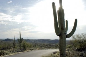Explore Arizona
