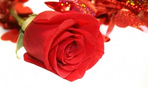 Valentine
