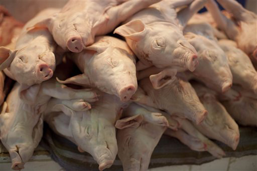 Food Mexico Haute Cuisine