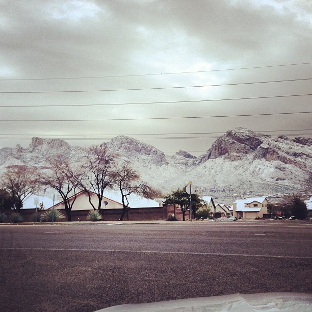 Snow Day