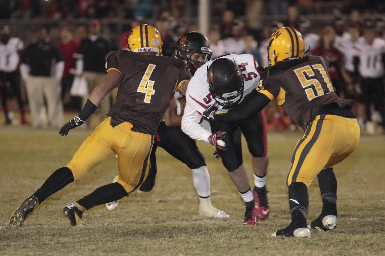 Chaparral at Marcos de Niza 