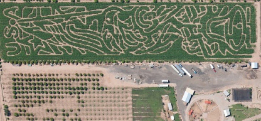 Vertuccio Farms