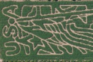 Vertuccio Farms