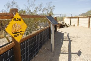 Improvements planned for regional parks 