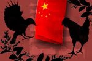 FAST FOCUS: China and health disasters 