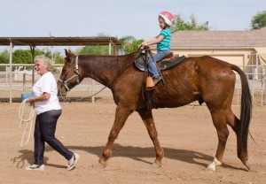 Equine Therapy