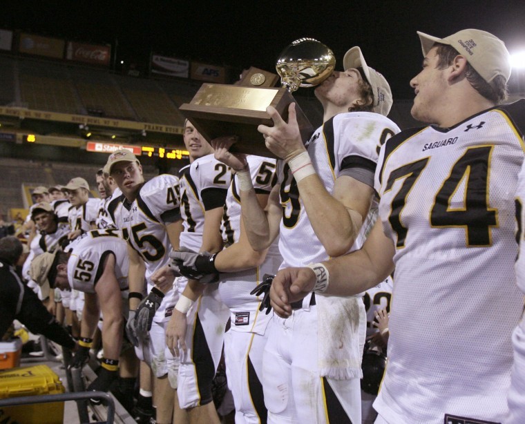 Saguaro at Del Oro