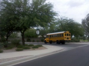 Higley school district