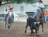 Queen Creek puts spurs to horse park planning 