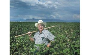 Part III - Farmers harvest a new cash crop: development 