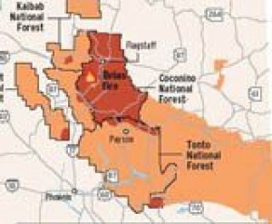 Fire forces forest closures 
