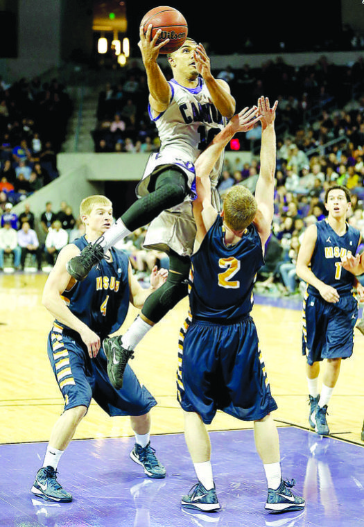 Josh Lowery