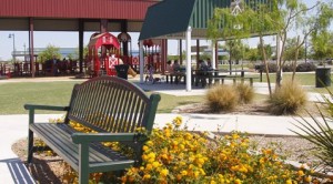 Chandler puts Tumbleweed project on hold 