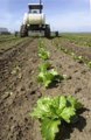 Outbreak exposes weakness in food chain 