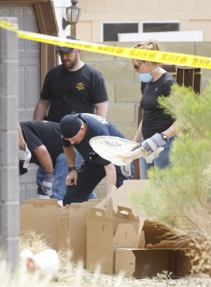 Woman found dead with cats