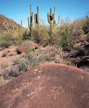 Hike of the month: Cottonwood Creek 