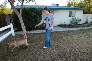 Animals often live at shelter for over a year 