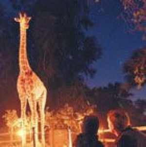 Events to occupy your guests or your time this holiday season 