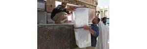 Iraqis probe 'unusually high' yes tally 