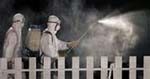 China: 2,600 birds dead of bird flu 