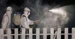 China: 2,600 birds dead of bird flu 