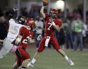 Saguaro at Chaparral