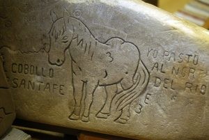 Legendary Peralta Stones get public display 