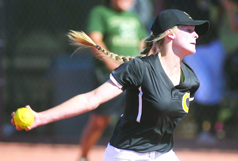 Gilbert at Basha
