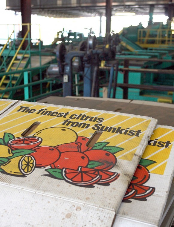Mesa Citrus Growers