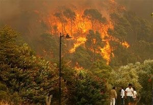 Dozens of fires burn across Greece 