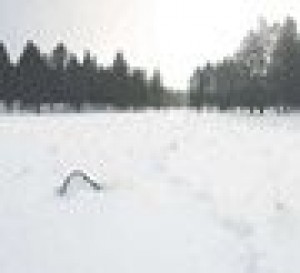Hardy souls sign up to learn cold weather survival 