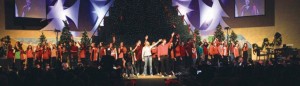 afn.112212.HOLLY.livingtree2.jpg