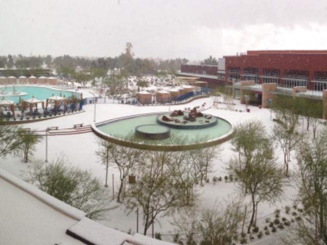 Snow Day