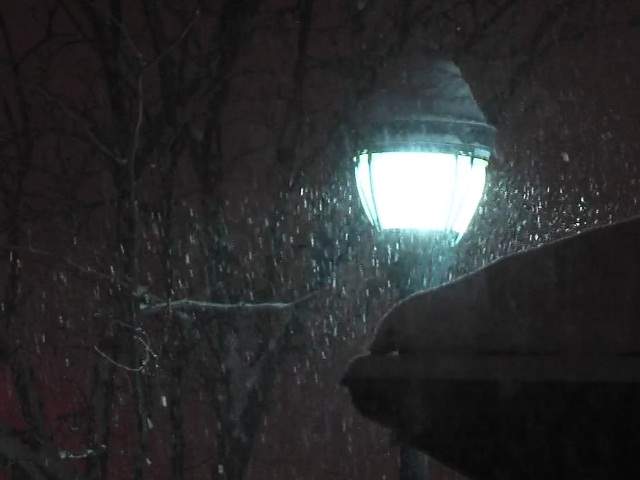 Snow Day