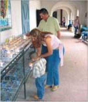 Perfect planning allows visitors to hit Tucson highlights 