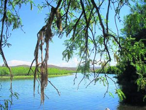Lower Salt River is unappreciated gem 