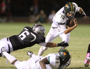 Basha at Hamilton