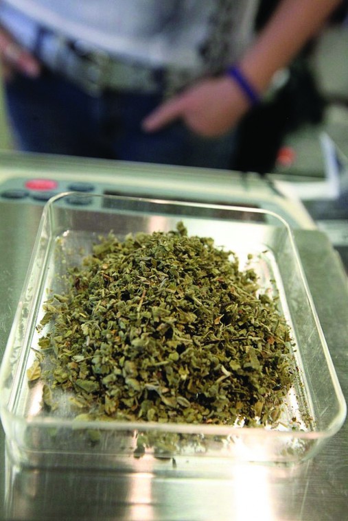 afn.022511.news.Spice2.jpg