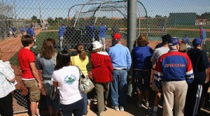 Cactus League battling economic downturn 
