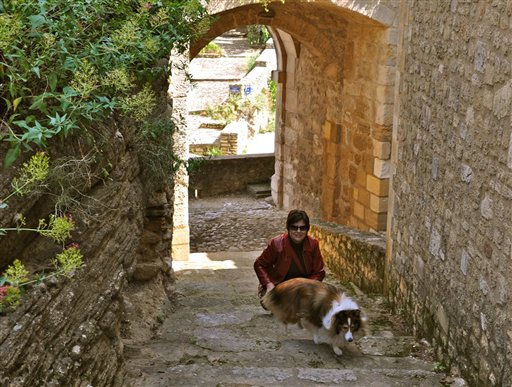 Pets Holiday Travel