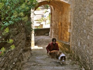 Pets Holiday Travel