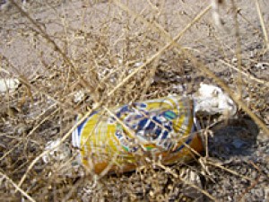Roadside litter