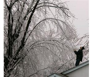 Ice storm lashes much of U.S.; 21 dead 