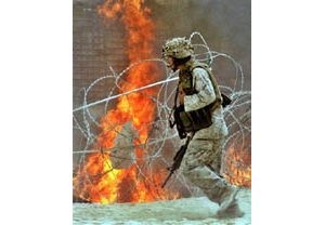 Eight Marines killed in Iraq violence 