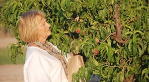Photos: Orchard dinner at Schnepf Farms 