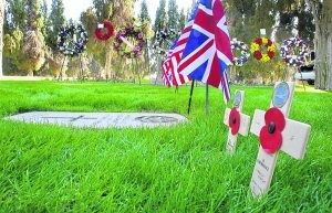 Veterans Day brings many events to E.V. 