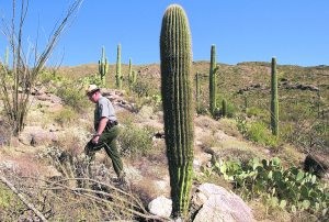 Inside Arizona: A Southern Arizona Adventure 