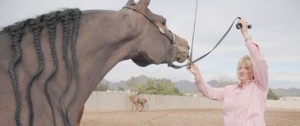 Horse world shows off at Scottsdale spectacle 