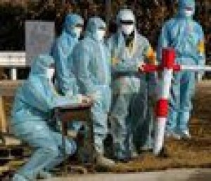 China confirms first human bird-flu cases 