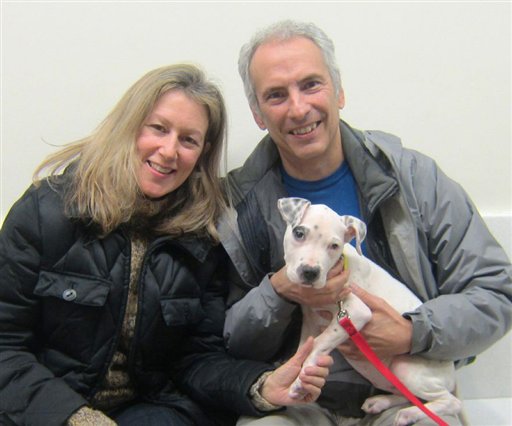 Pamela Harris, Joseph Villari